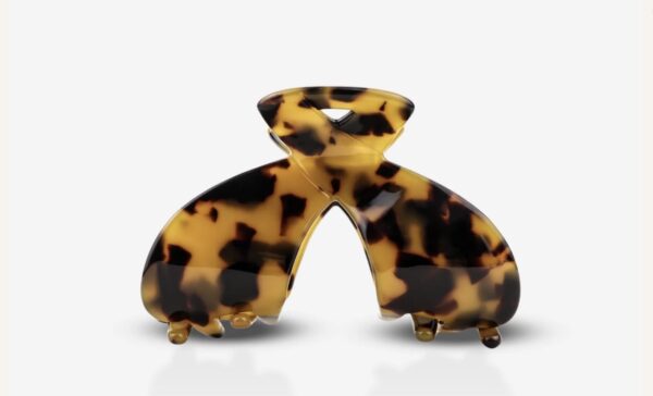 pince-guepard