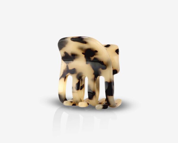 petite-pince-guepard