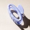 pince-bleu-iris