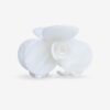 pince-fleur-blanche