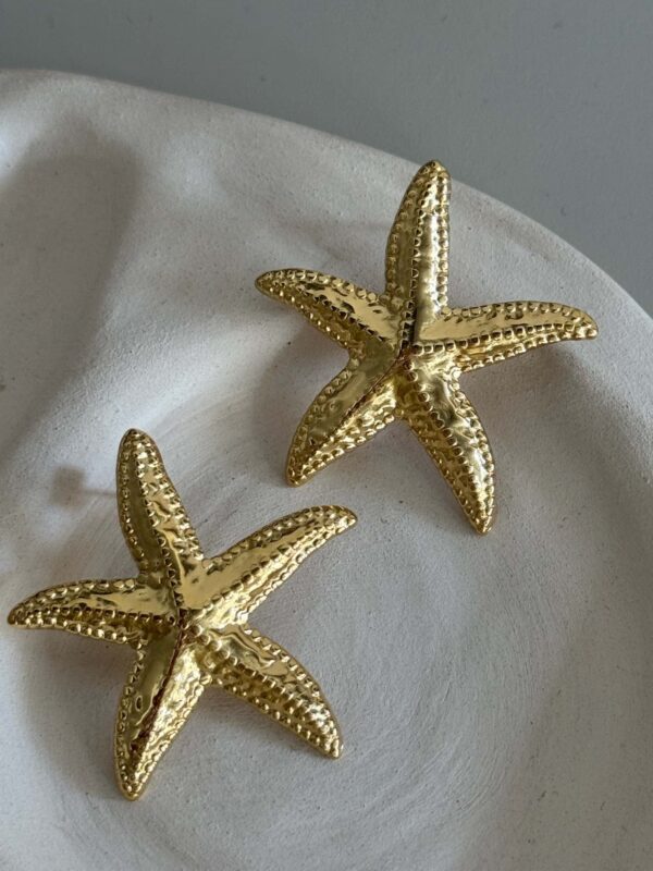 Boucle-oreille-dore-acier-inoxydable-etoile