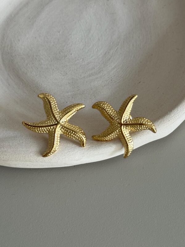 Boucle-oreille-dore-acier-inoxydable-etoile